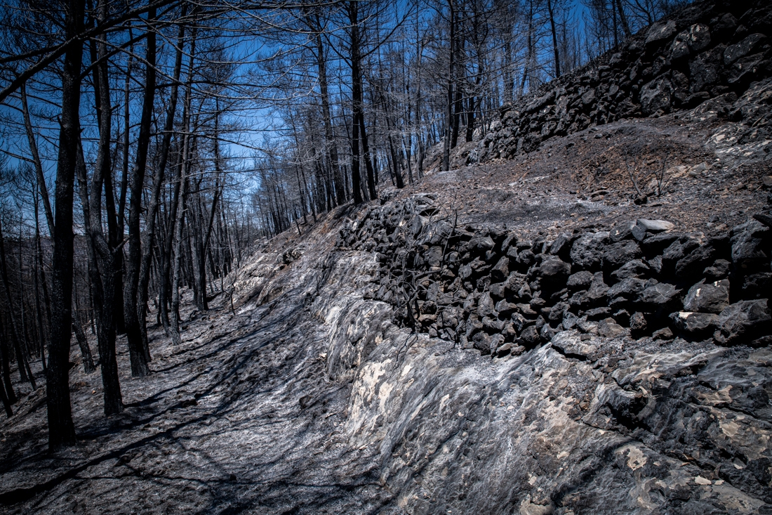The villages that emerged from the ashes