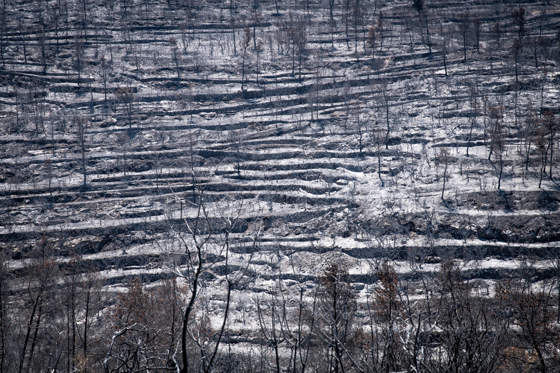 The villages that emerged from the ashes