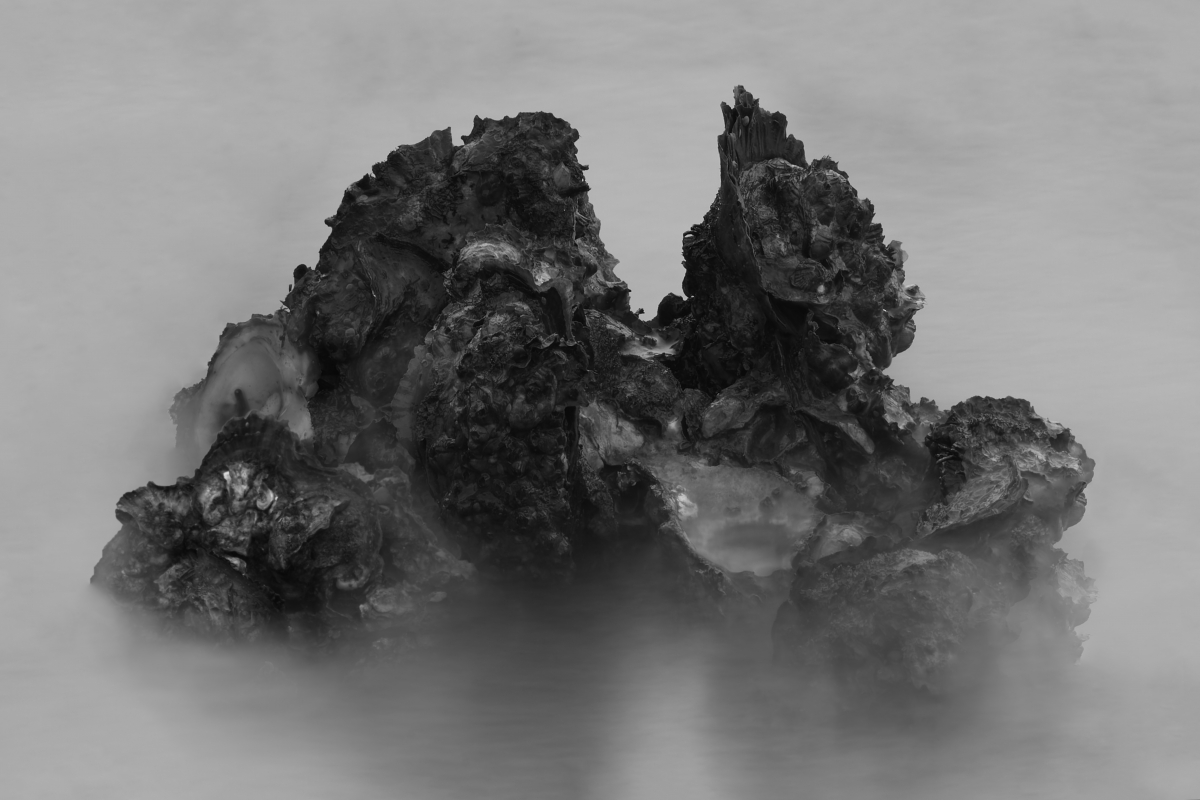 The Realm of Oyster