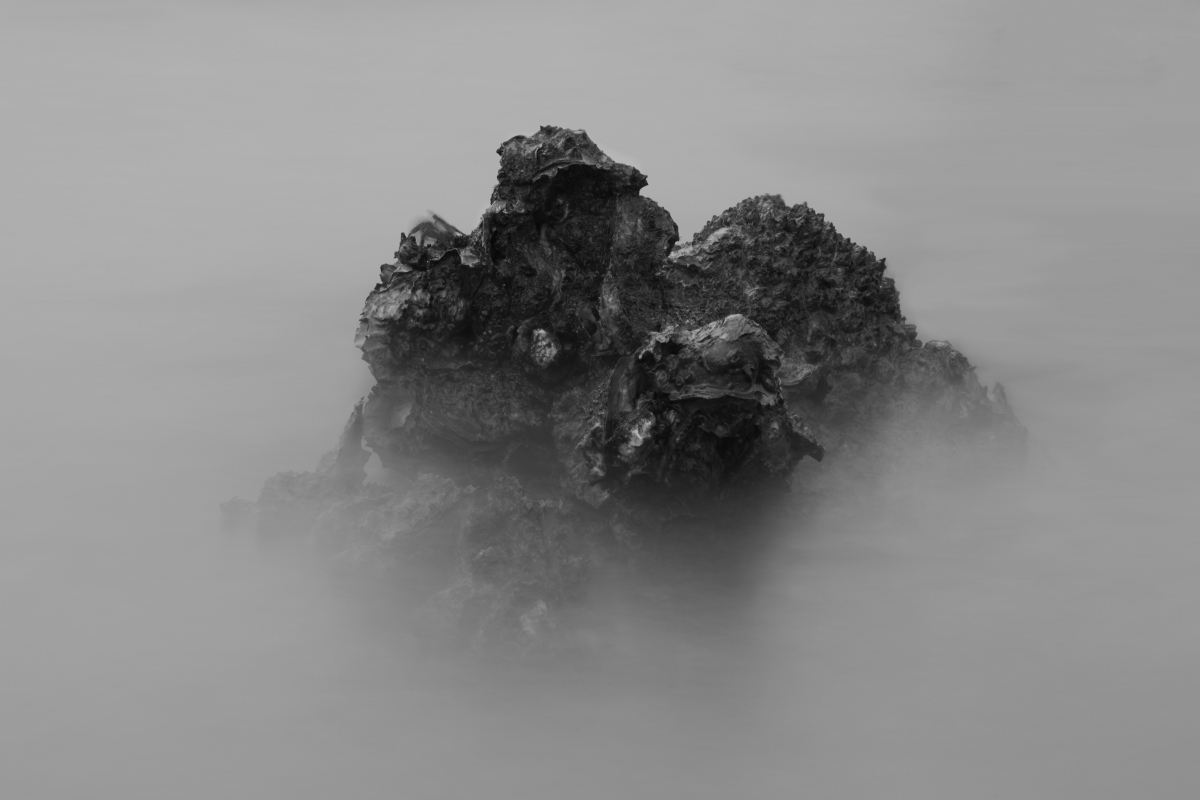 The Realm of Oyster
