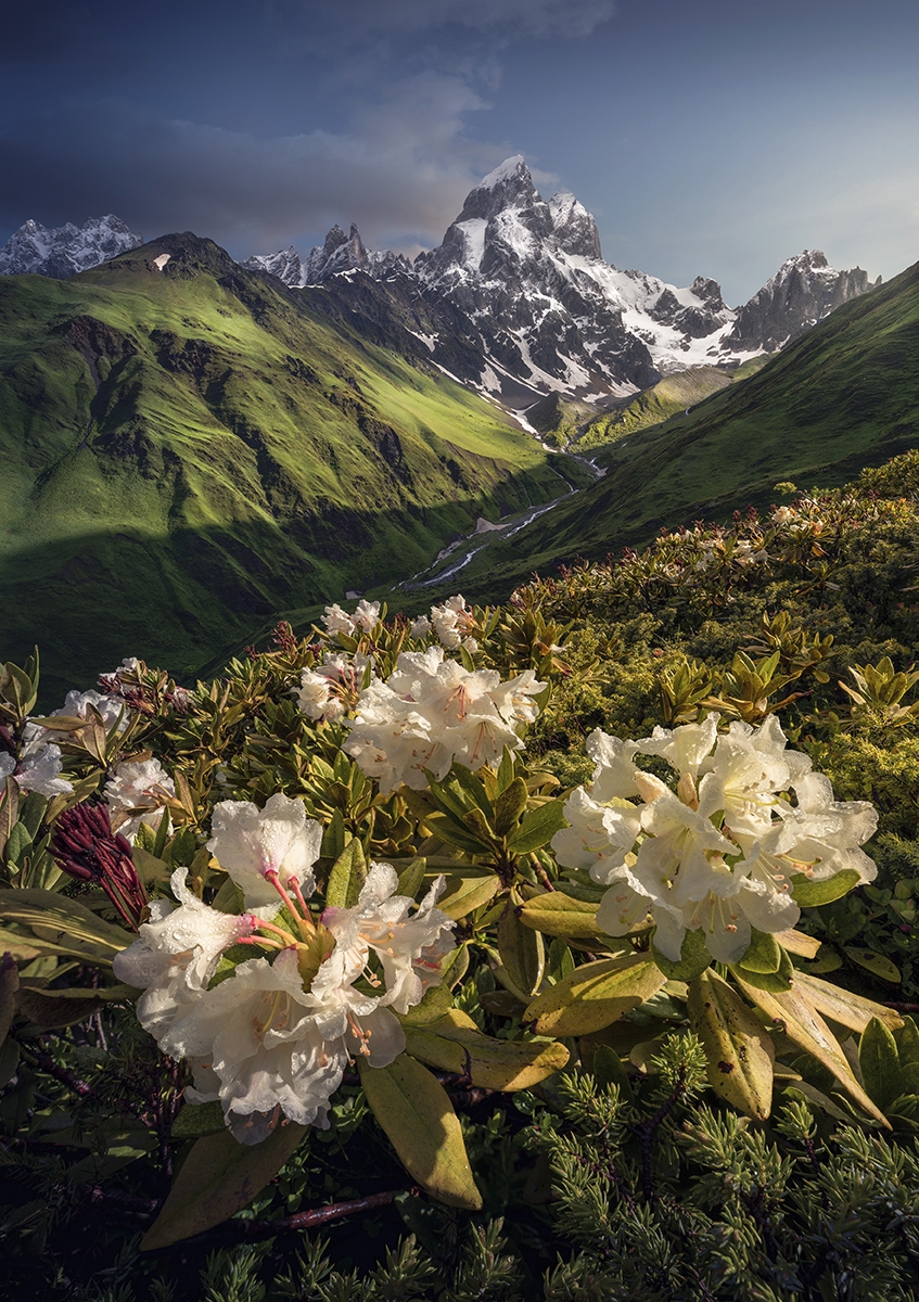 Luminescent Peaks: A Global Ode to Mountain Light