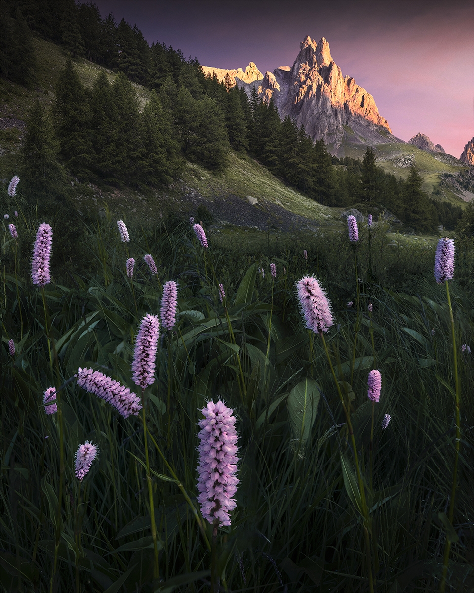 Luminescent Peaks: A Global Ode to Mountain Light