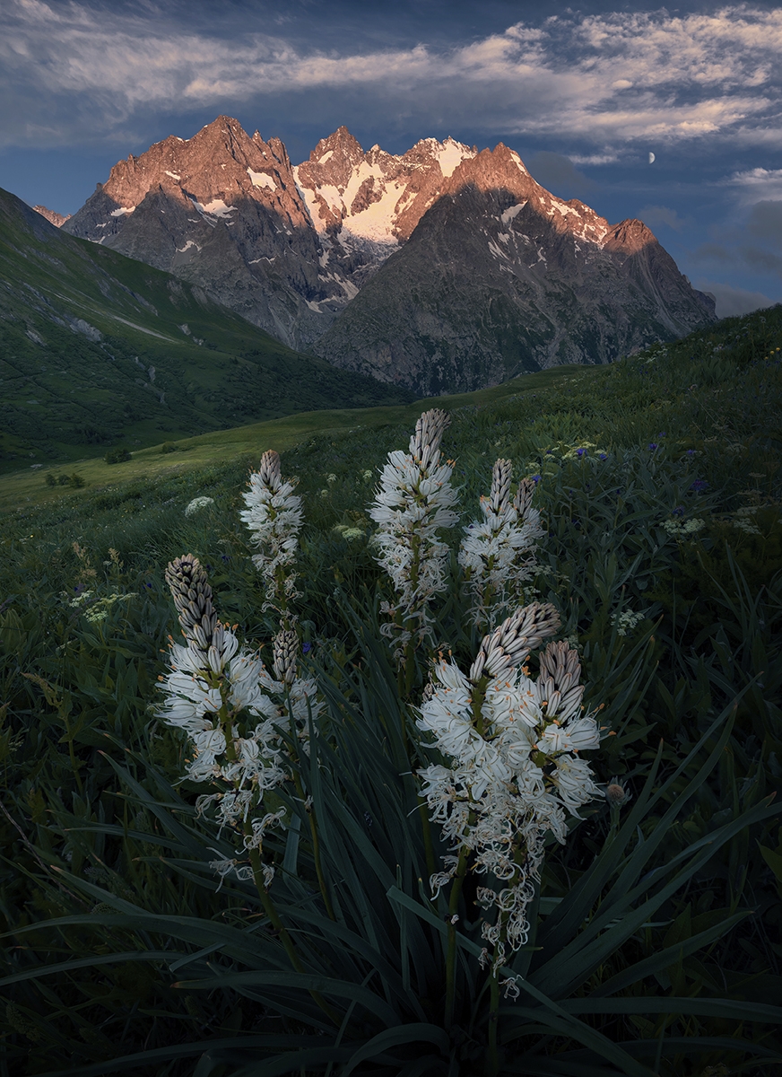 Luminescent Peaks: A Global Ode to Mountain Light