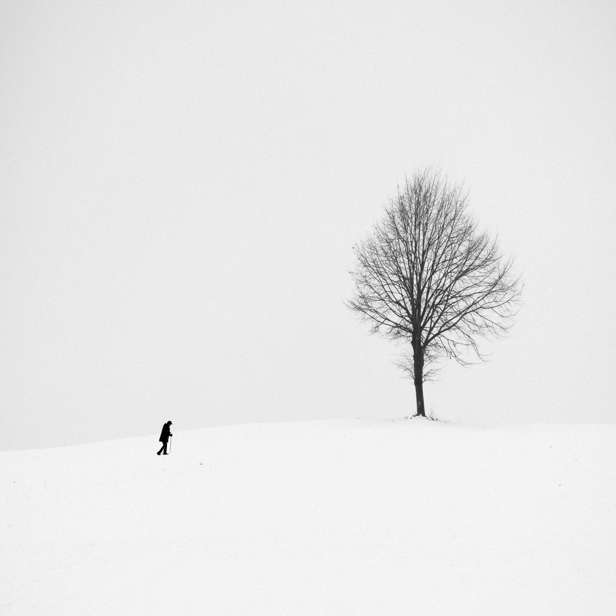 Winterwalk