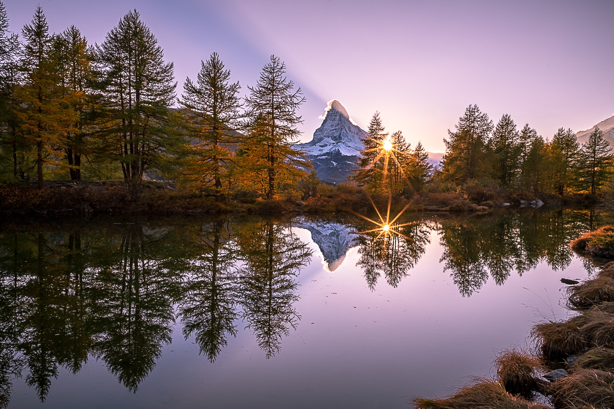 The beauty of our nature
