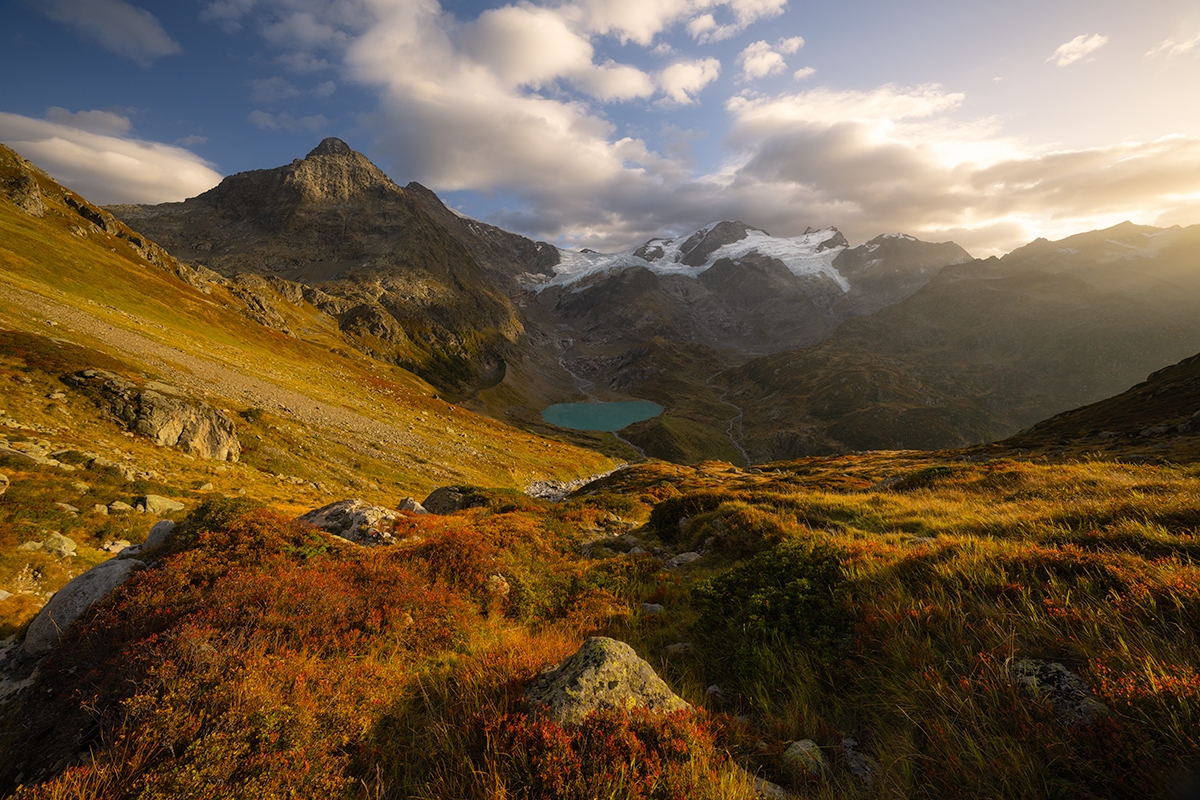 Wild Alps