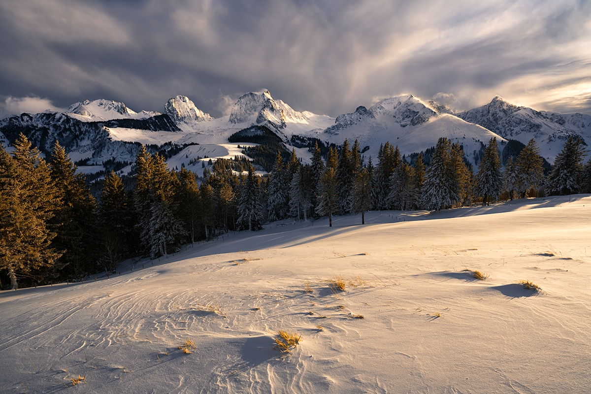 Wild Alps