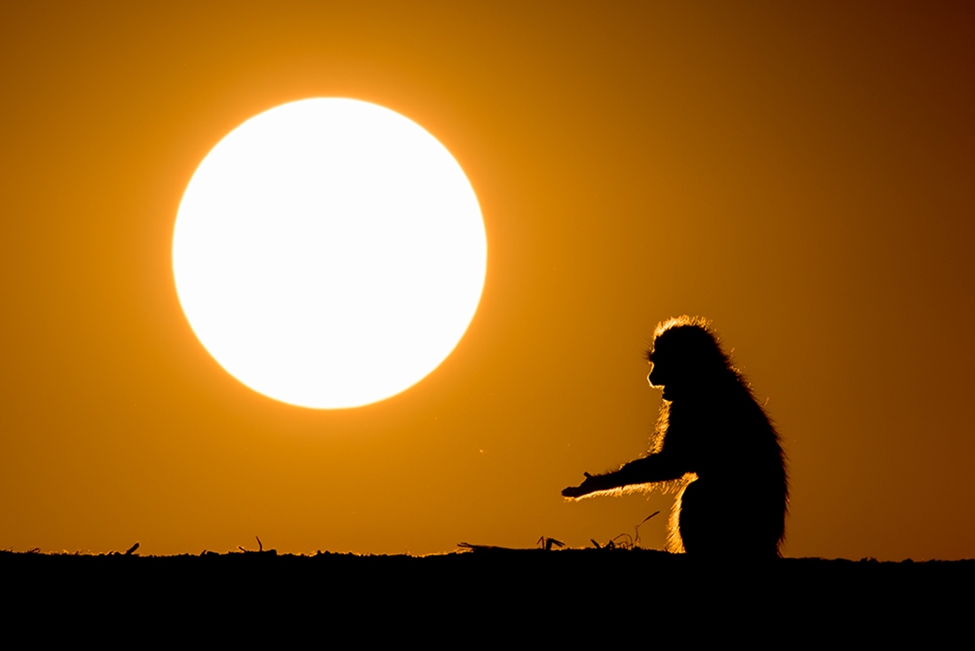 Sunny Side of Life