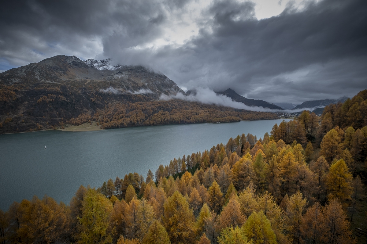 The Beauty in Larch