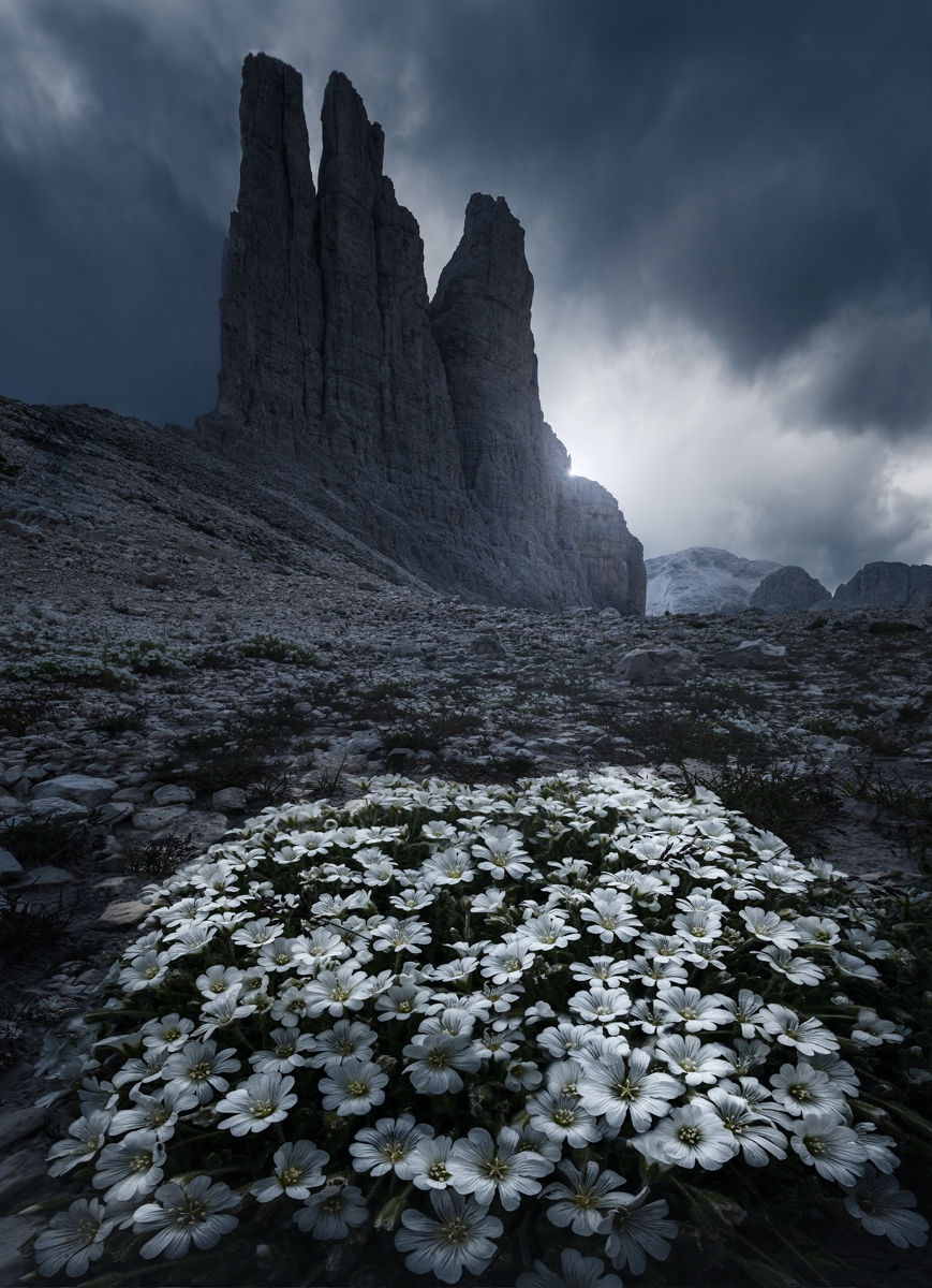 The Power of Nature