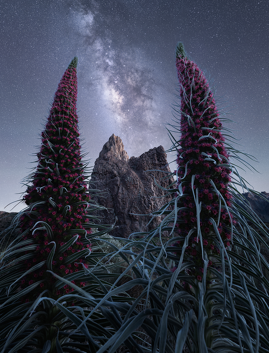 Alien Planet