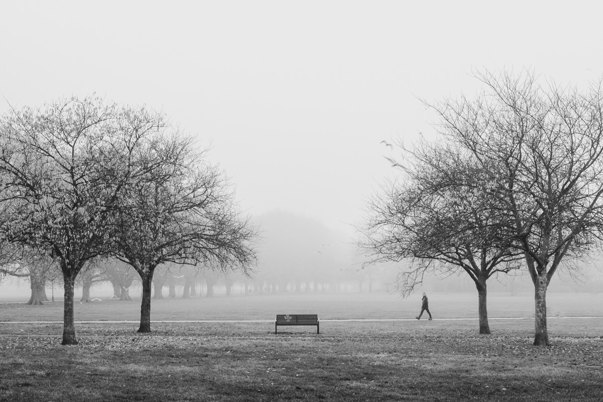 Winter in Cambridge