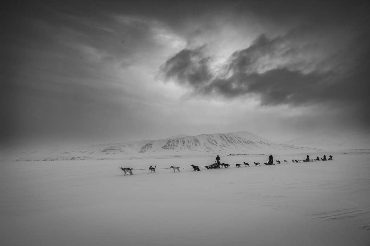 Arctic Trails: The Spirit of Svalbard