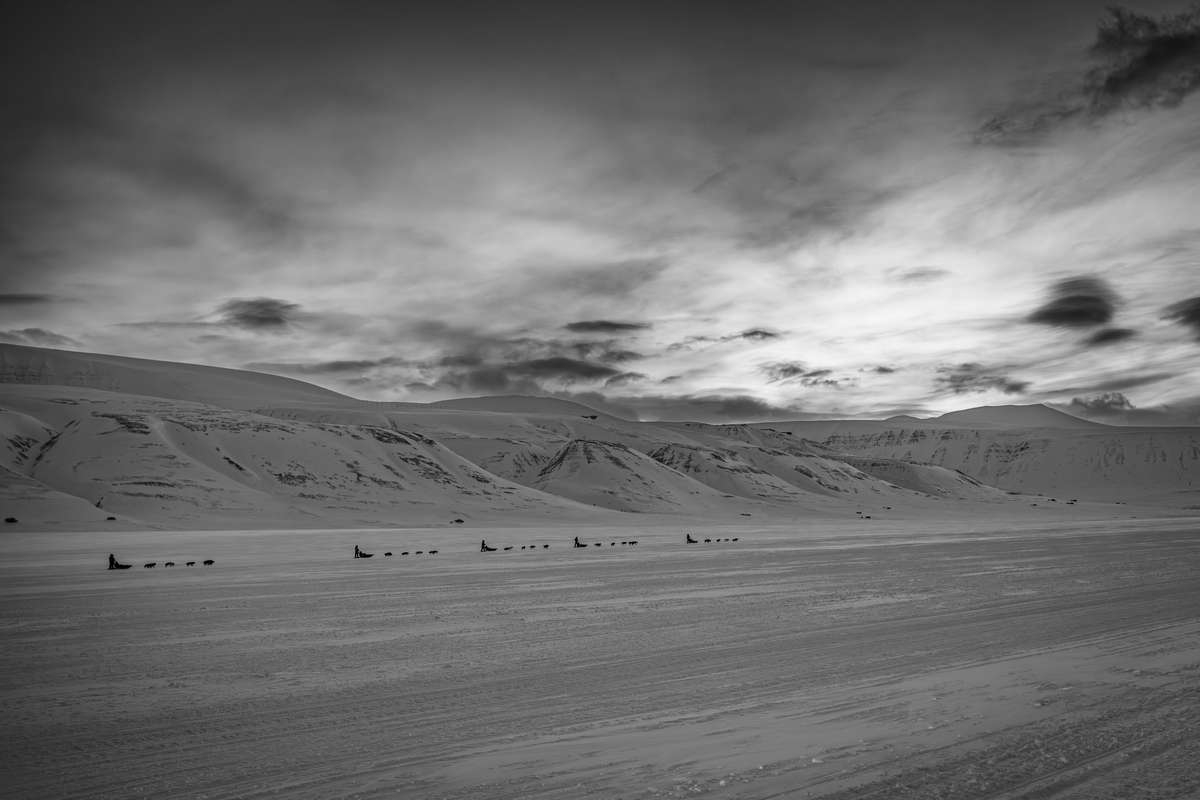 Arctic Trails: The Spirit of Svalbard
