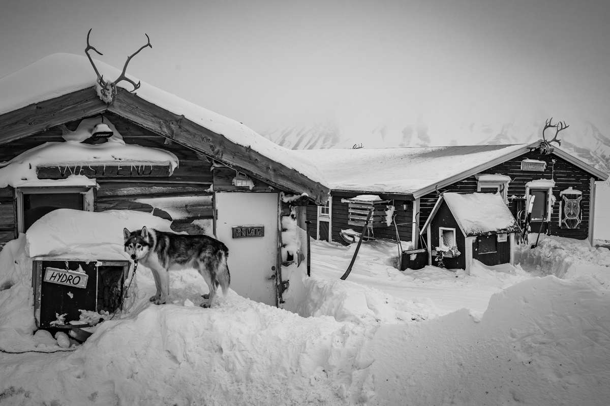 Arctic Trails: The Spirit of Svalbard