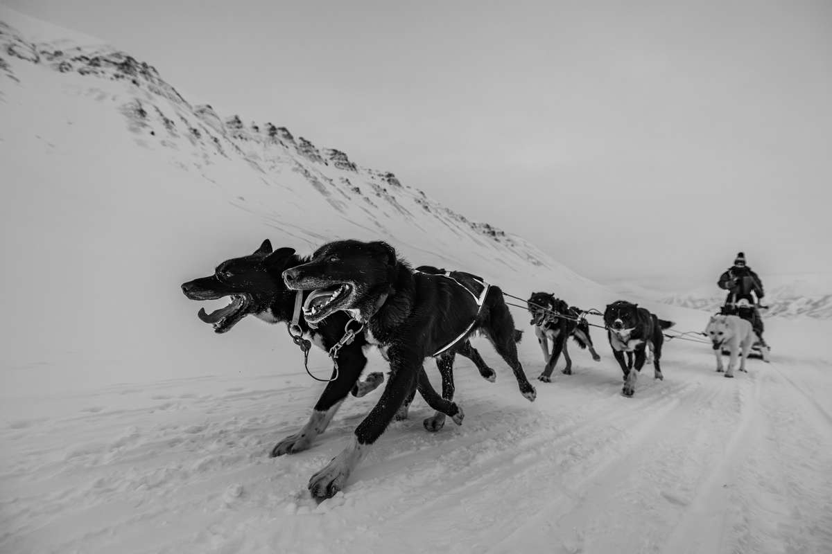 Arctic Trails: The Spirit of Svalbard