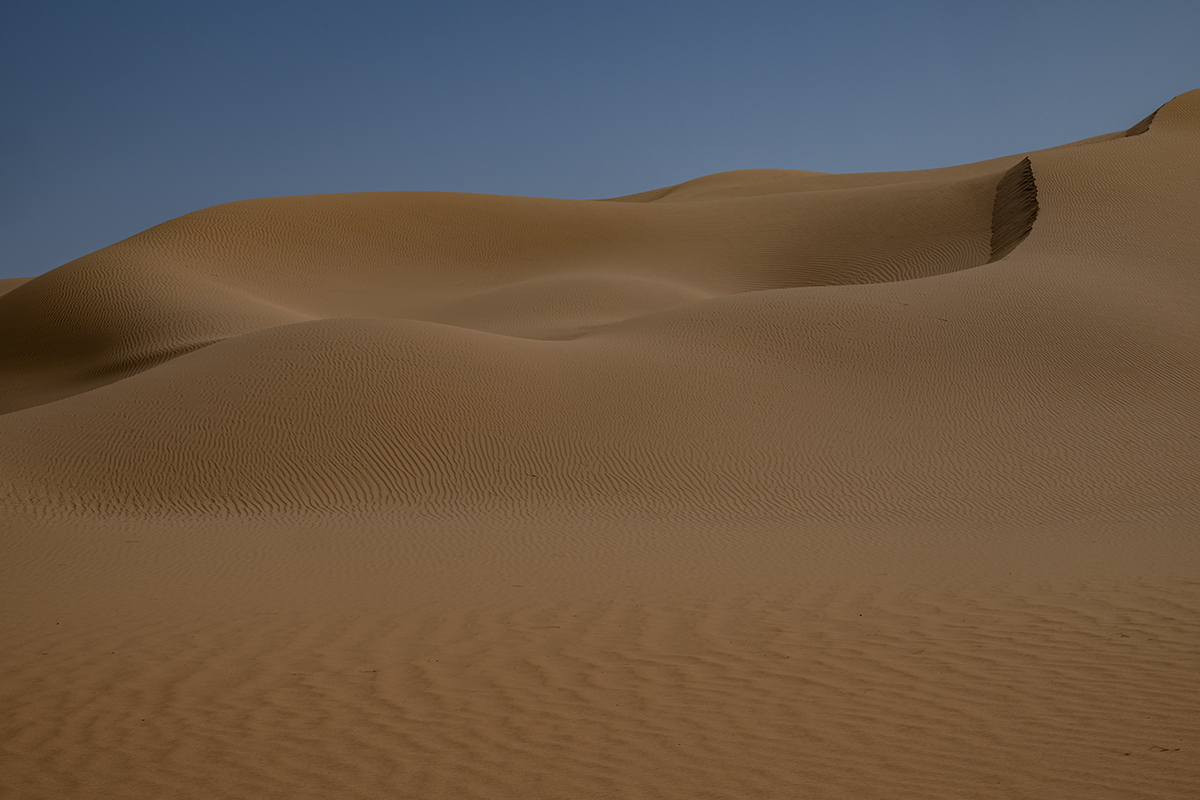 Impressions of the desert in Algeria