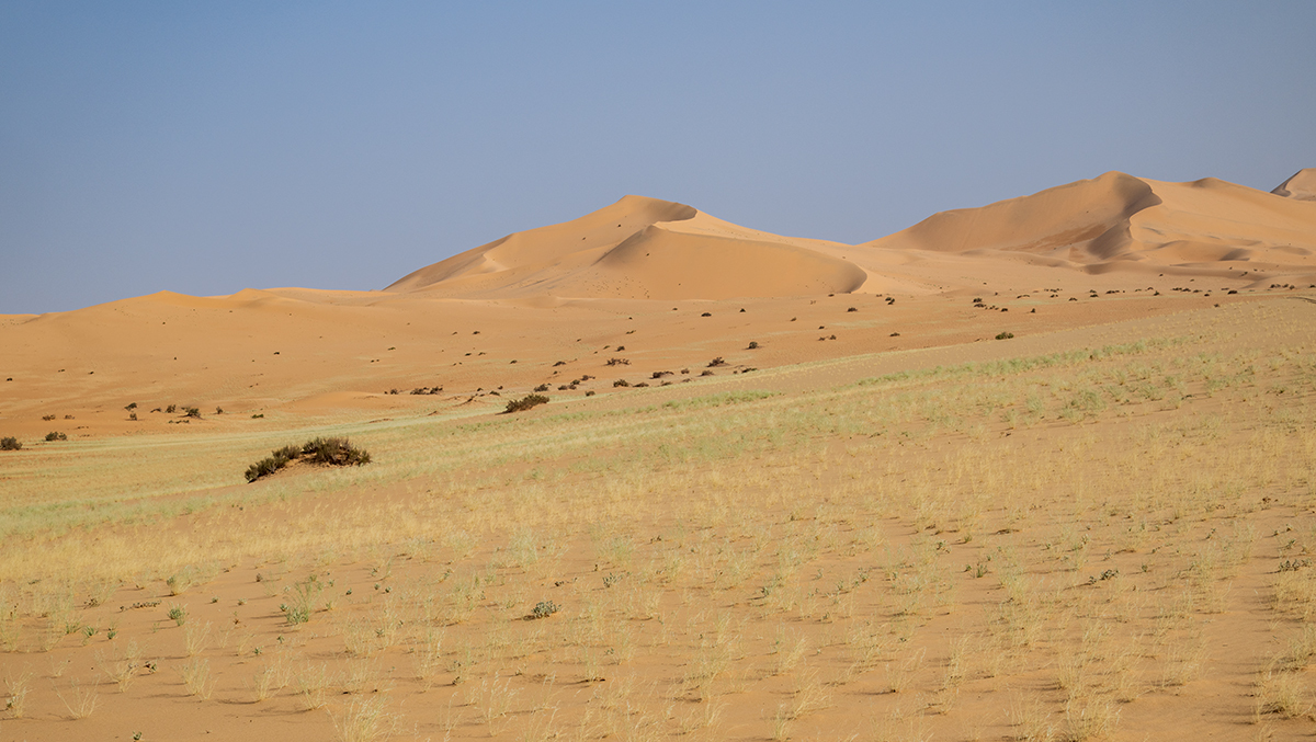 Impressions of the desert in Algeria