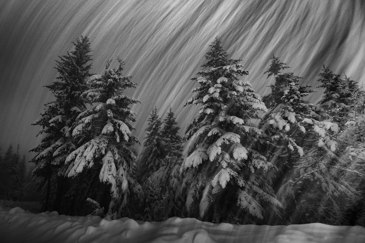 Night and White