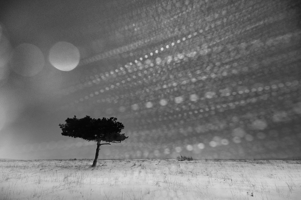 Annual Photography Awards winner CAROLE REBOUL