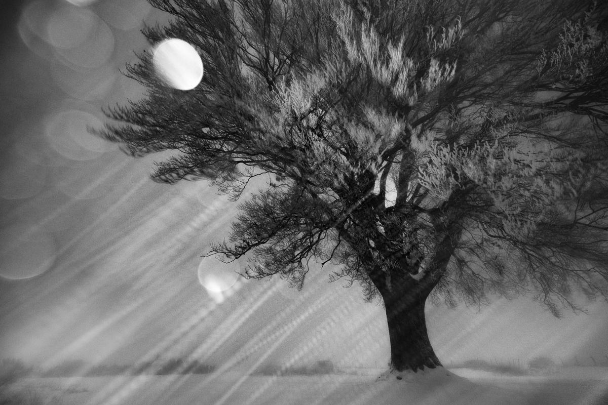 Night and White