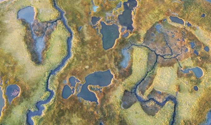Salt Marsh Aerial
