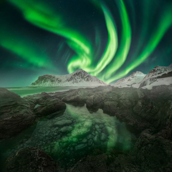 Lofoten 