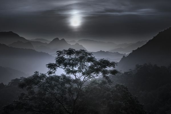 Night and Day