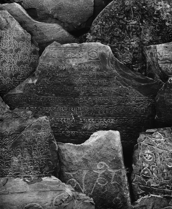 Tibet Codes