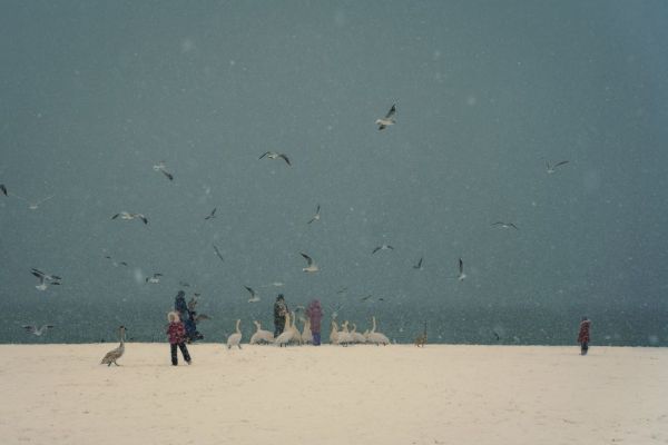 Winter day