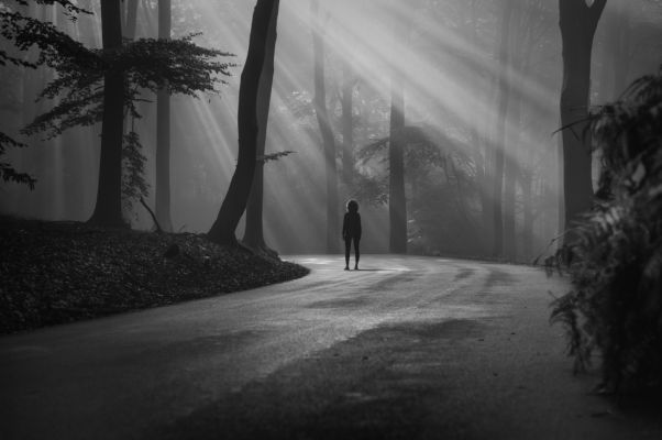 Natural Spotlight