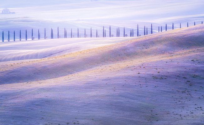 Surreal Tuscany
