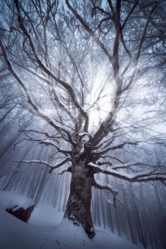 invisible stillness