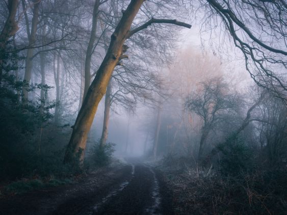 Ancient Path