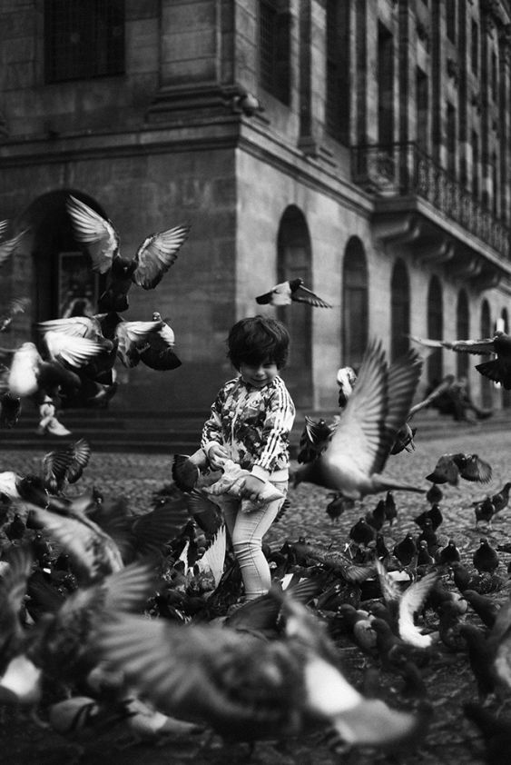 Bird feeding in Dam Square, Amsterdam, 2017