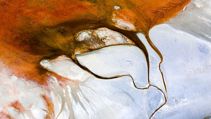 Nature's Paintbrush