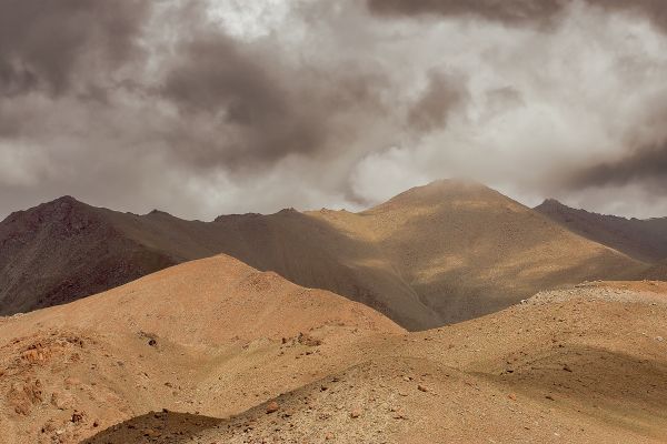 Shades Of Nature 