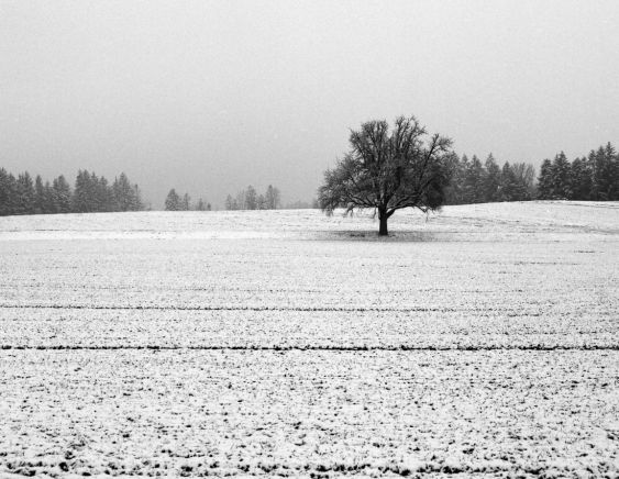 a winter journey