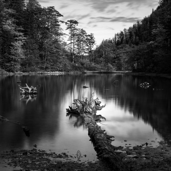 The Lake