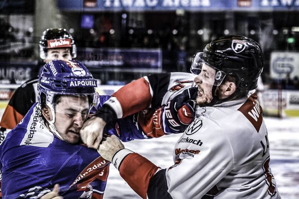 The Fight