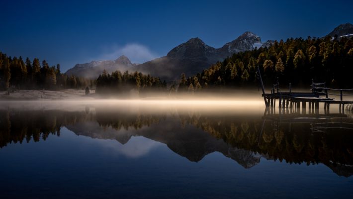 In the moonlight