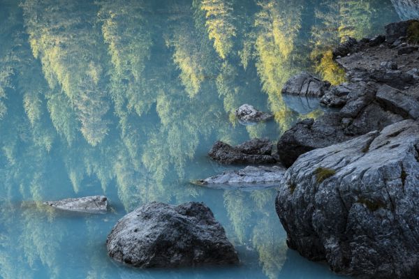 Larches reflection