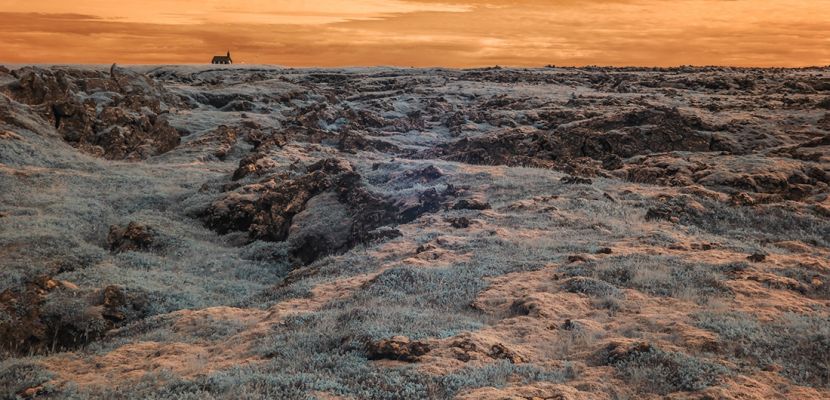 Lava Field with Church