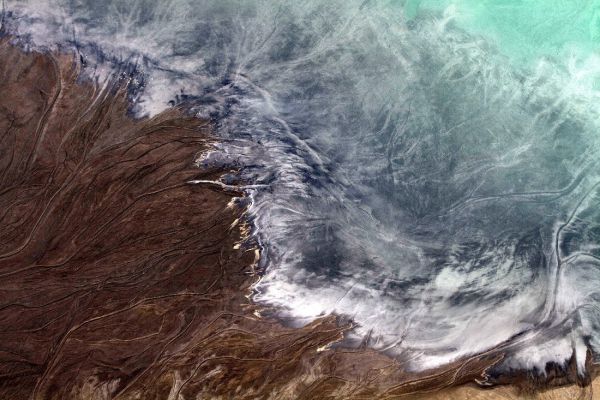 Toxic coast