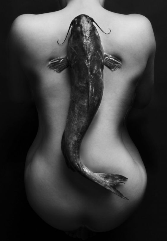 Octobody