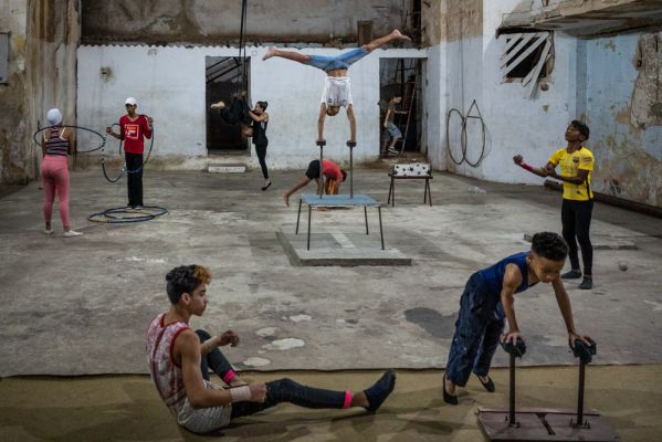 The circus of life
