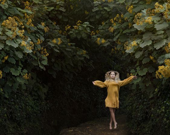 The Yellow Portrait