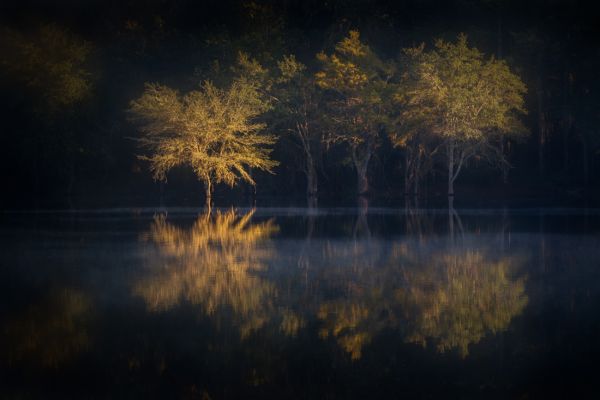 Gold at Indian Lake