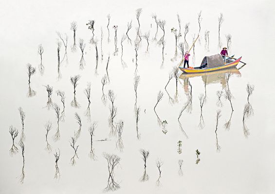 Fisherman  of the Mangrove Swamp