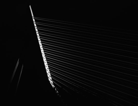 The Harp